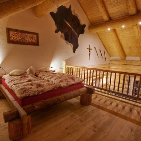 Holzhaus Lugerhof Apartmán Roding